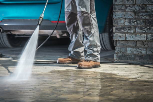 Best Dumpster Area Cleaning  in Reeds Spring, MO