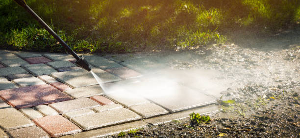 Best Building Exterior Washing  in Reeds Spring, MO