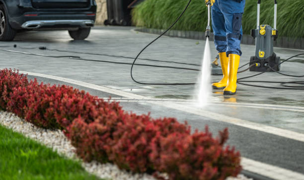 Best Factory Floor Cleaning  in Reeds Spring, MO