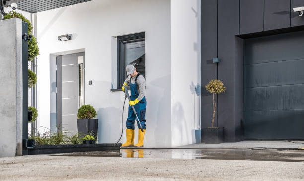 Best Roof Washing  in Reeds Spring, MO